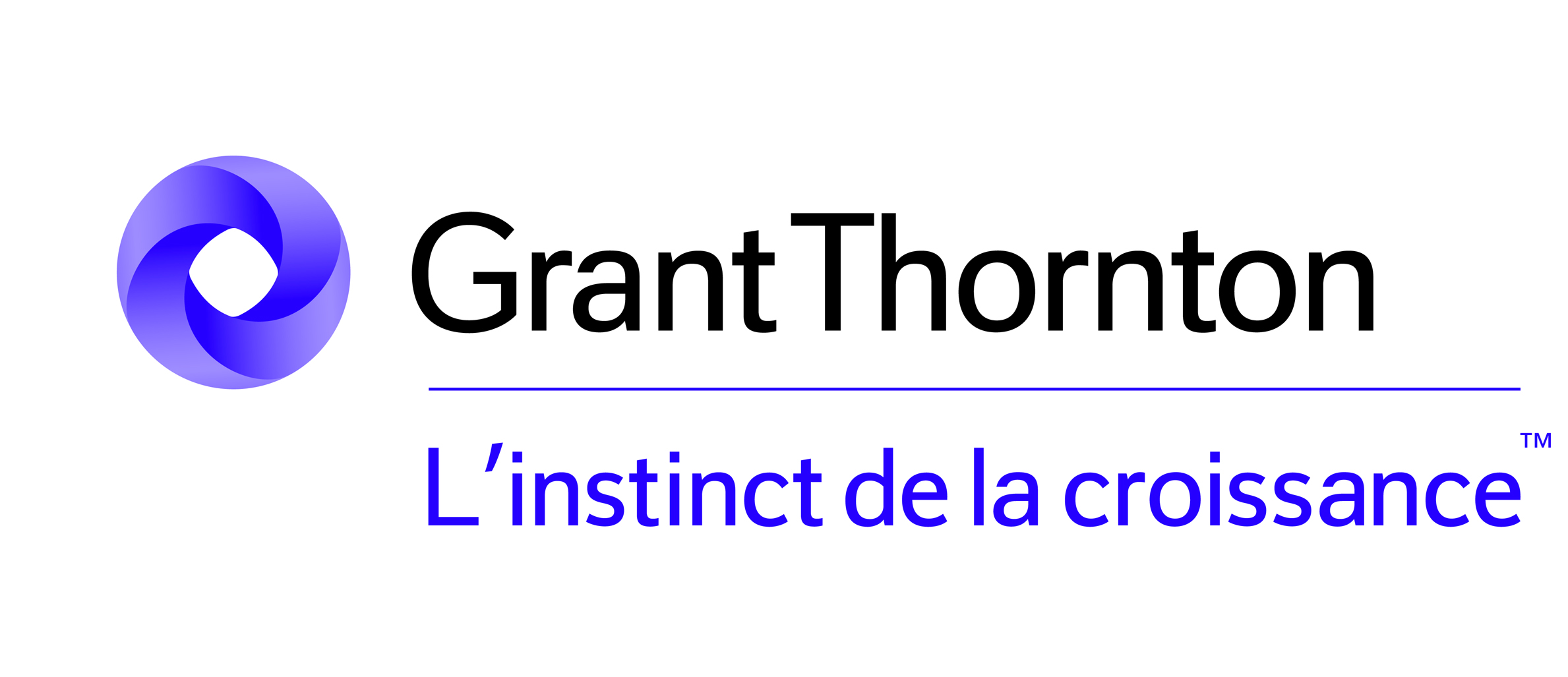 GRANT THORNTON France-medium-Primary.jpg 